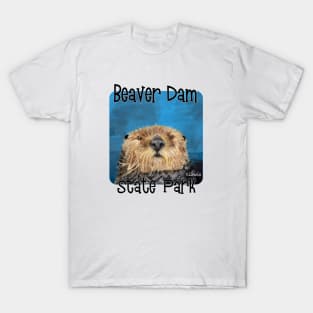 Beaver Dam State Park, Illinois T-Shirt